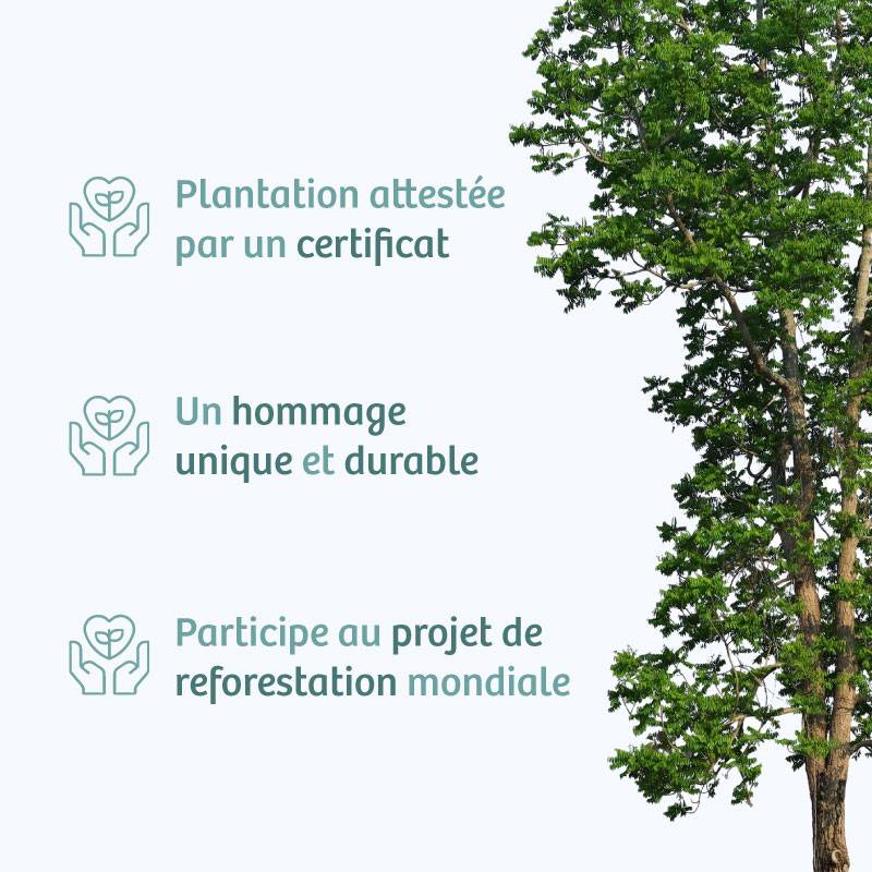 Planter un arbre en hommage à Mme Nadine TOMASIN Née BARUTEL